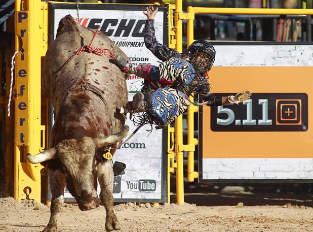 Connor Holt gets thrown from a bull during the Chris Shivers Miniature Bull Riding (MBR) World Finals at Mandalay Bay Thursday, Oct. 24, 2013. The MBR features junior riders ages 8 to11 and senior riders ages 12 to 14. The event was part of the the 2013 Professional Bull Riders Built Ford Tough World Finals.