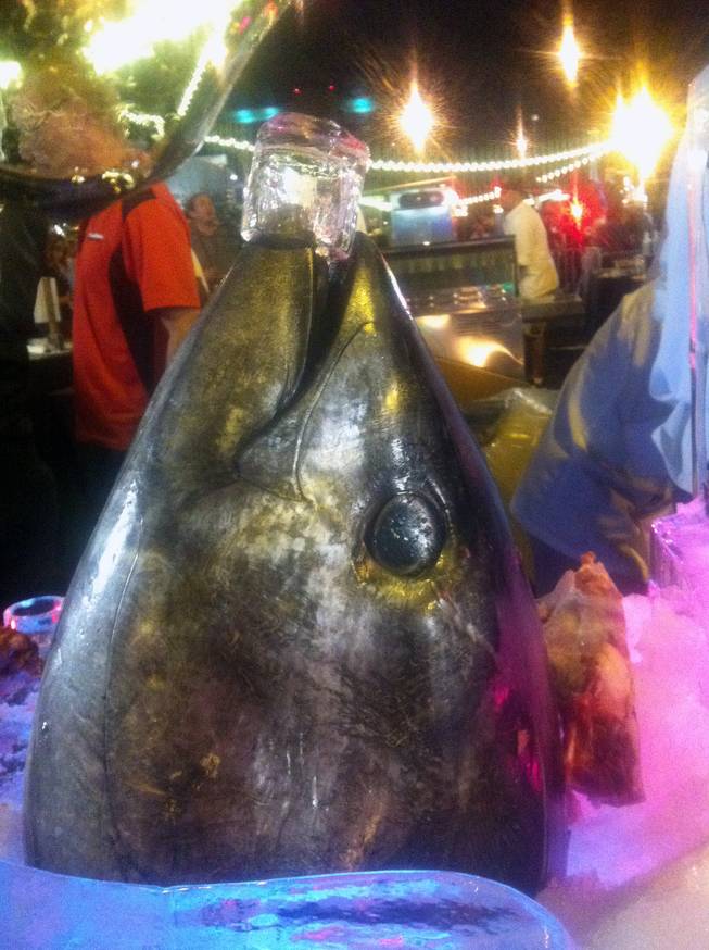Hey, gorgeous. This 200-pound bluefin tuna stole the show at the Life Is Beautiful kickoff event.