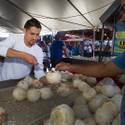 A Day at the Broadacres Marketplace
