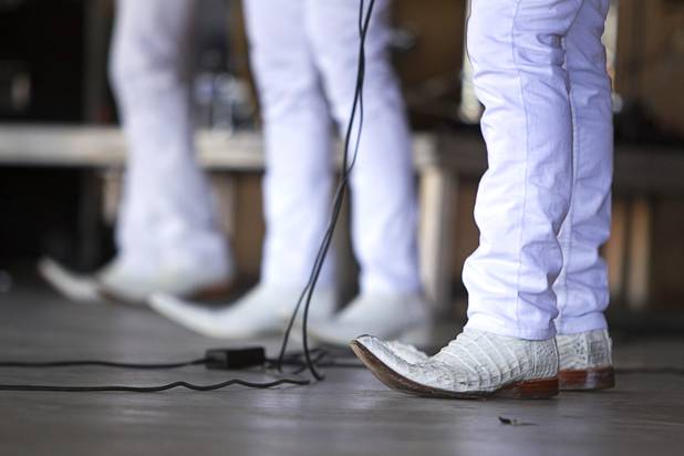 Musicians with Conjunto Pena Blanca perform at the Broadacres Marketplace & Events Center Sunday Nov. 3, 2013.