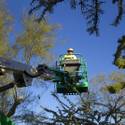 Steve Bowdoin Prepares for Lighting Festival at Ethel M