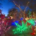 Steve Bowdoin Prepares for Lighting Festival at Ethel M