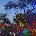 Steve Bowdoin Prepares for Lighting Festival at Ethel M