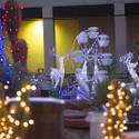 Steve Bowdoin Prepares for Lighting Festival at Ethel M