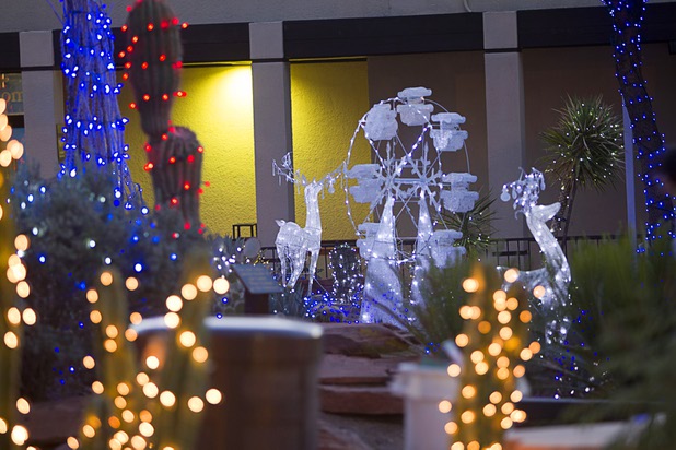 Displays are shown at the Ethel M Chocolate factory's Botanical Cactus Garden Wednesday, Nov. 6, 2013. The 20th annual holiday lighting display will kick off with a ceremony on Tuesday, Nov. 12.