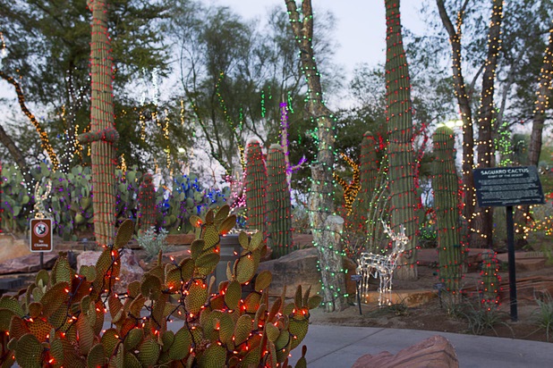 Displays are shown at the Ethel M Chocolate factory's Botanical Cactus Garden Wednesday, Nov. 6, 2013. The 20th annual holiday lighting display will kick off with a ceremony on Tuesday, Nov. 12.