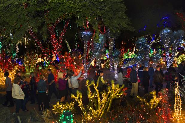 People wander through the lit garden following the performance events at the 20th anniversary of Ethel M's Cactus Lighting on Tuesday, Nov. 12, 2013.
