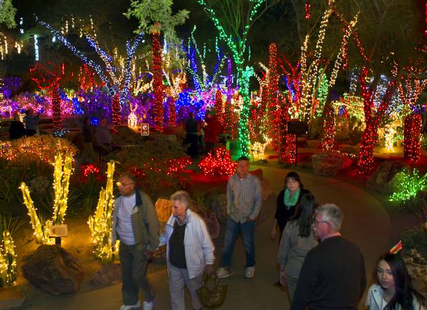 People wander through the lit garden following the performance events at the 20th anniversary of Ethel M's Cactus Lighting on Tuesday, Nov. 12, 2013.