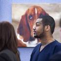 1030bassethounds01