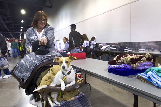 Tracey Townsend pushes a stroller her his dog "Pup," a four-year-old Jack Russell mix, during the Fall 2013 Southern Nevada Project Homeless Connect at Cashman Field Center Tuesday, Nov. 19, 2013. The annual event brings together a variety of social and legal services to help homeless and low-income people.