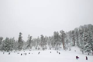 People gather to play in Lee Meadows while snow falls on Mt. Charleston Saturday, Nov. 23, 2013.