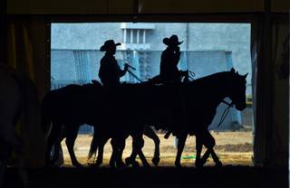 Riders warm down their horses after a roping session for the upcoming NFR at the Thomas & Mack Center on Tuesday,  Dec. 3, 2013. 