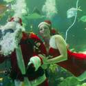 Underwater Santa at The Silverton 2013