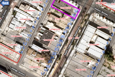 Downtown Development