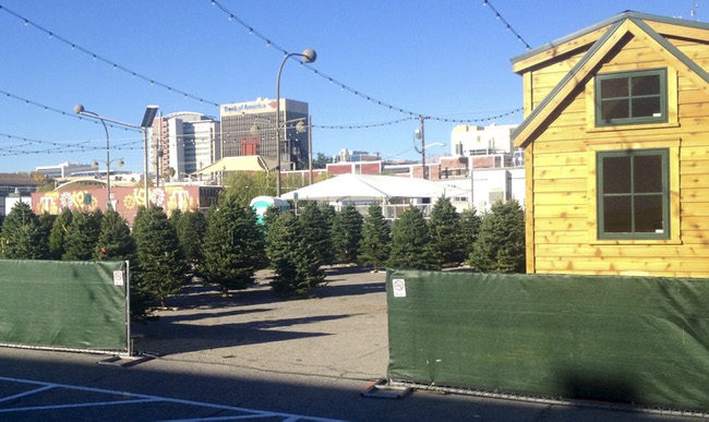 Christmas tree lot downtown.