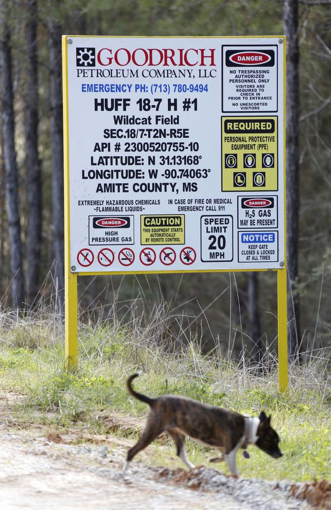 In this Dec. 23, 2013 photograph, a dog walks past the sign indicating a Goodrich Petroleum site in Amite County, Miss.