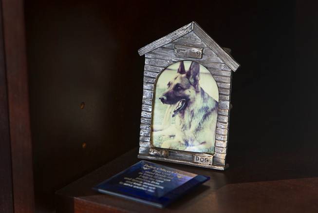 A photo of Danko, Sheriff Doug Gillespie's police dog, is shown on a shelf at his office in Metro Police Headquarters Thursday, Jan. 2, 2014.  Gillespie was a K-9 officer from 1990 to 1993 and adopted  Danko after the dog retired. Danko passed away in 1997.