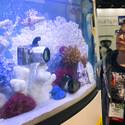 2014 CES Day 1