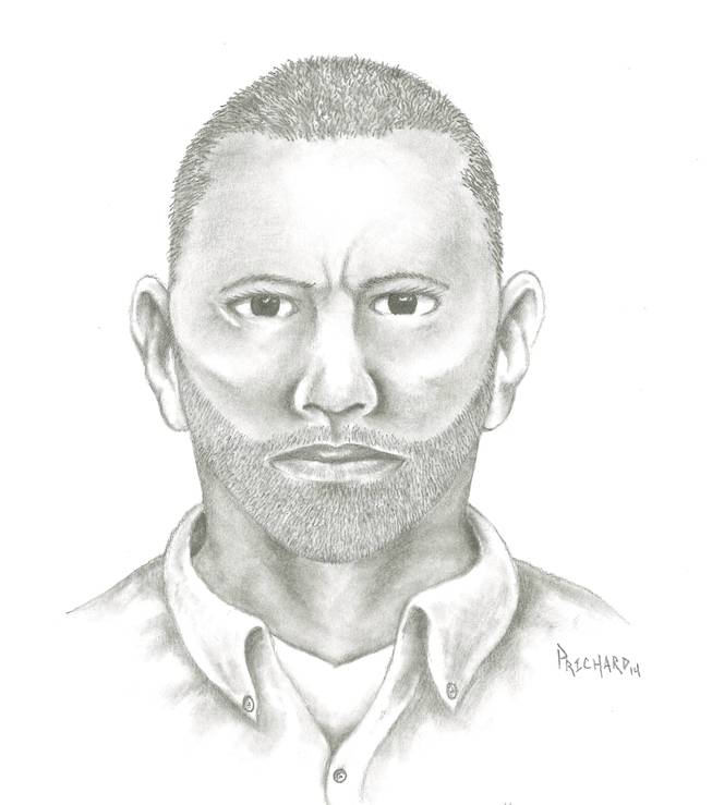 A composite sketch of a suspect in a sexual assault that took place on Dec. 27, 2013, near Durango Drive and  Sahara Avenue.