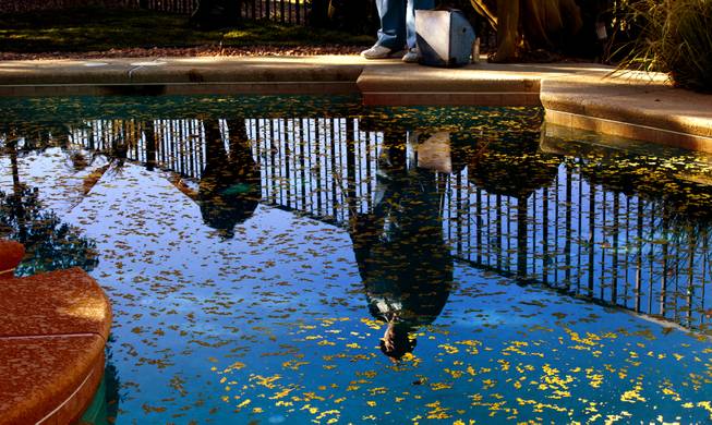 Curtis Murphy of Klean Scoop is reflected in a pool as he joins his fiance Melodie Harris as they clear a yard of dog poop on Wednesday, Jan. 15, 2014.