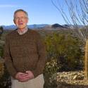 Finding Nevada: Searchlight