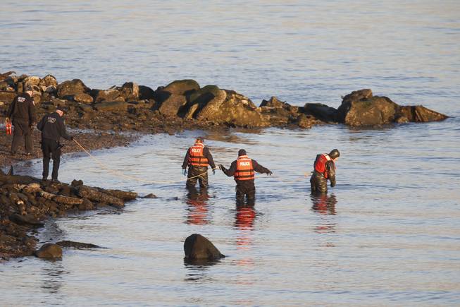 An New York Police Department dive unit continues the search for human remains after an arm and legs were discovered along a rocky shoreline in the Queens borough of New York, Friday, Jan. 17, 2014.