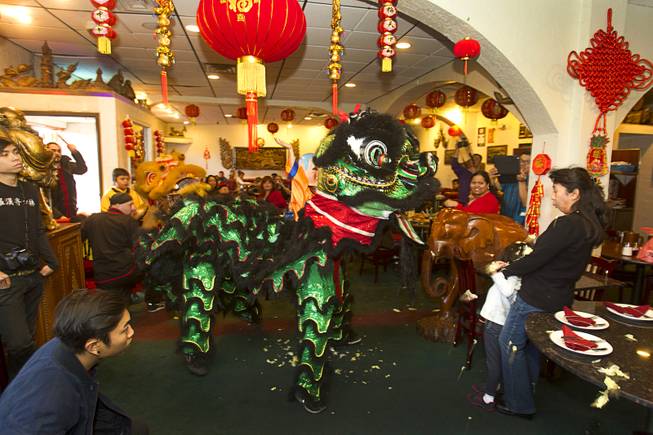 Chinese New Year Lion Dance