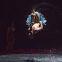 ‘Le Reve — The Dream’ Couple