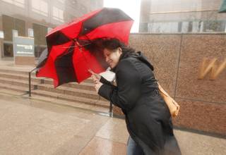 A pedestrian blocks the heavy winds with her umbrella in Los Angeles Friday, Feb. 28, 2014.  
