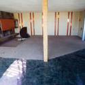 Elvis house