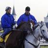 Trainer Steve Asmussen, right, leads Kentucky Derby hopeful Quintons Gold Rush and exercise rider Scott Blasi off the track after a morning workout at Churchill Downs in Louisville, Ky., April 28, 2004.