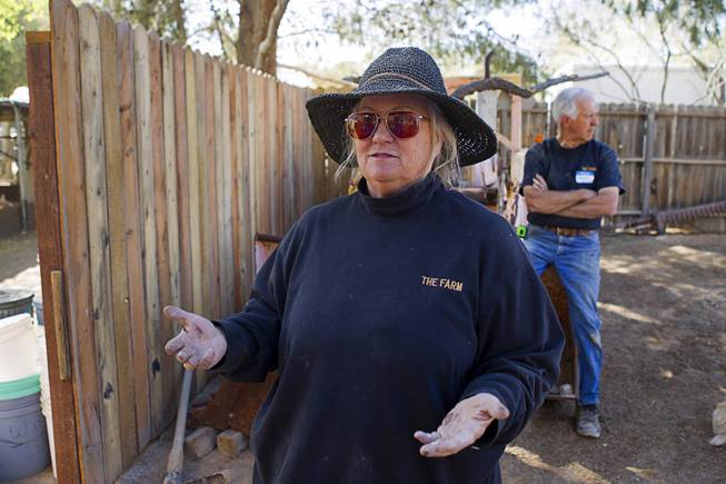 Sharon Ousley-Linsenbardt talks about her difficulties in complying with county regulations during an interview at The Farm, 7222 West Grand Teton Drive, Sunday, March 23, 2014. Her husband "Farmer Glenn" Linsenbardt is at right. STEVE MARCUS