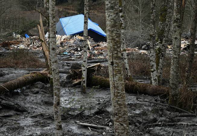A fatal mudslide brought debris down the Stillaguamish River near Oso, Wash., Saturday, March 22, 2014, stopping the flow of the river and destroying several homes.