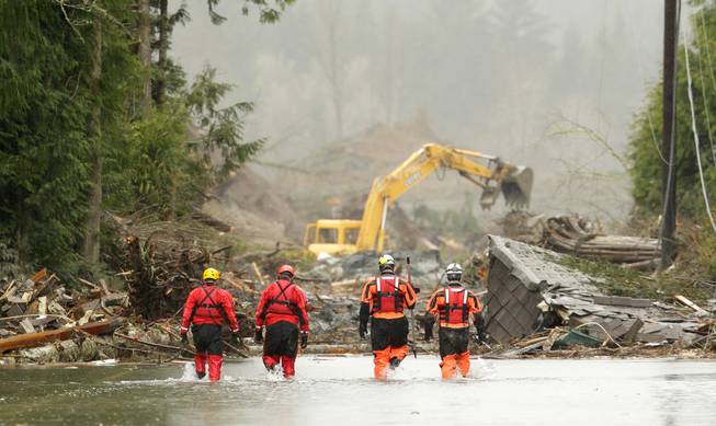 Four search and rescue workers wade through water covering Washington Highway 530 Thursday, March 27, 2014, on the eastern edge of the massive mudslide that struck Saturday near Darrington, Wash. as heavy equipment moves trees and other debris in the background.