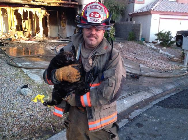 Clark County Fire Capt. Tracy Thomas holds the family cat rescued from a house fire Monday, March 31, 2014, at 8065 Orchestra Ave.