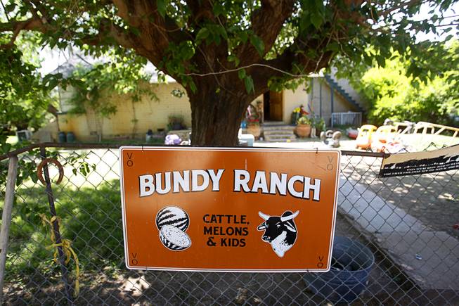 A view of the Bundy ranch near Bunkerville Sunday, April 13, 2014. The Bureau of Land Management halted their roundup of Bundy family cattle under an agreement reached Saturday.