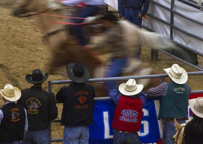 Attendees watch the Mark Stephenson & Bob Ray Memorial team roping during the West Coast Regional Finals Rodeo at South Point Arena  on Friday, April 25, 2014.
