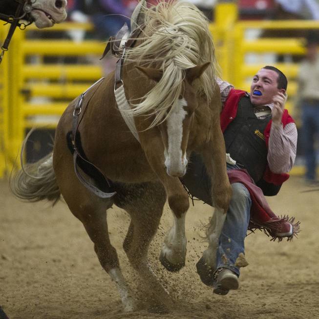 Fresno bareback rider Dustin Franco clings to the horse during his ride in the West Coast Regional Finals Rodeo at South Point Arena on Friday, April 25, 2014.