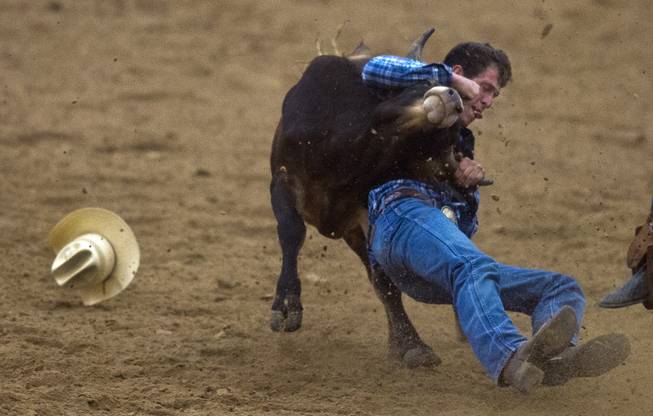 Feather River steer wrestler Brandon Mackenzie works to take a steer down to the dirt during the West Coast Regional Finals Rodeo at South Point Arena  on Friday, April 25, 2014.