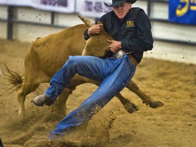 Feather River steer wrestler Dane Browning is driven back by a steer during the West Coast Regional Finals Rodeo at South Point Arena  on Friday, April 25, 2014.