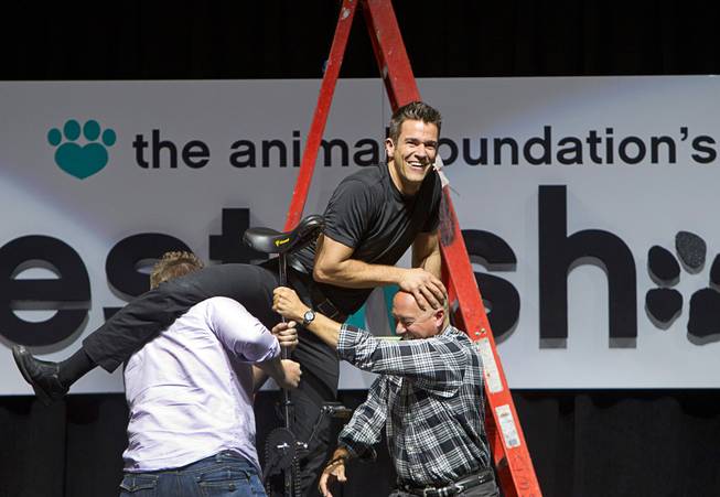 Entertainer Jeff Civillico gets help from audience members Antonio Trillo, left, and Kevin Wogalter, as he mounts a unicycle during the Animal Foundation's 11th annual Best in Show competition at the Orleans Arena Sunday, April 27, 2014. Civillico performs in a 4 p.m. show at the Quad.