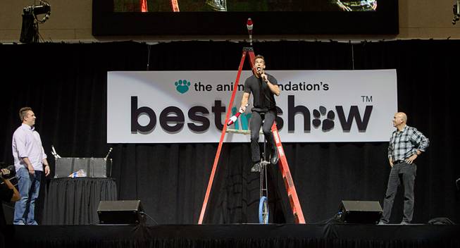 Entertainer Jeff Civillico eats a marshmallow off of a machete as audience members Antonio Trillo, left, and Kevin Wogalter, look on during the Animal Foundation's 11th annual Best in Show competition at the Orleans Arena Sunday, April 27, 2014. Civillico performs in a 4 p.m. show at the Quad.