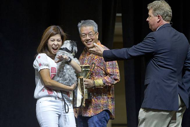 Kerri and Craig Nakamura react after adopting Best of Show winner Jackson, an 18-month-old Lhasa Apso mix, during the Animal Foundation's 11th annual Best in Show at the Orleans Arena Sunday, April 27, 2014. Auctioneer Christian Kolberg is at right. Other dogs were adopted through a random drawing process.