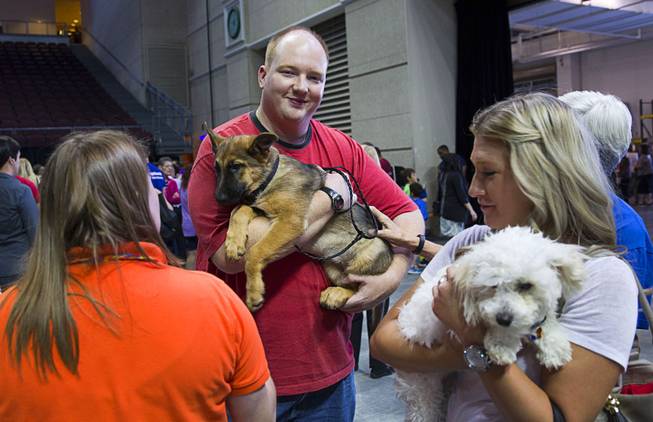 John Anderson holds Mia, a German Shepard mix, during the Animal Foundation's 11th annual Best in Show competition at the Orleans Arena Sunday, April 27, 2014. Anderson provided a foster home for Mia before the show and was given the first option on adopting the dog.