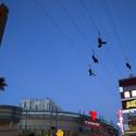 SlotZilla Zipline Opens In Downtown Las Vegas