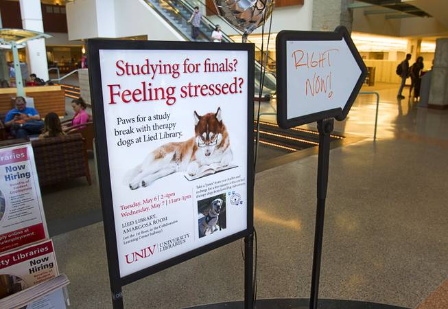 Signs show the way to "Paws" for a Study Break at UNLV's Lied Library Wednesday, May 7, 2014. The library sponsored the second annual study break with certified therapy dogs from Love Dog Adventures to help calm students stressing over final exams.