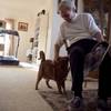 Gerry Venable pets one of his roommate's four cats in the home he shares with Carol Loper in Los Angeles on April 22, 2014. After an awkward first few weeks, the roommates, 74 and 69, get along well.