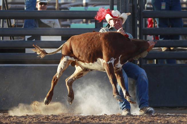 John Beck competes in chute dogging during the Bighorn Rodeo Saturday, May 10, 2014. The Bighorn Rodeo is an annual event put on by the Nevada Gay Rodeo Association.