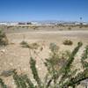 Developer Doug Roberts is planning a speculative warehouse project on this lot of land seen May 20, 2014 located on the northwest corner of Jones Blvd and Sunset Road.