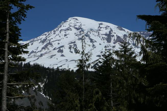 Mount Rainier is seen in the distance from a viewpoint within Mount Rainier National Park on Sunday, June 1, 2014. Park officials said that there are no immediate plans to recover the bodies of six climbers who likely fell thousands of feet to their deaths in the worst alpine accident on the mountain in decades.